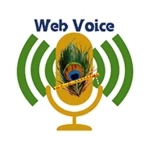 nd web voice android application logo